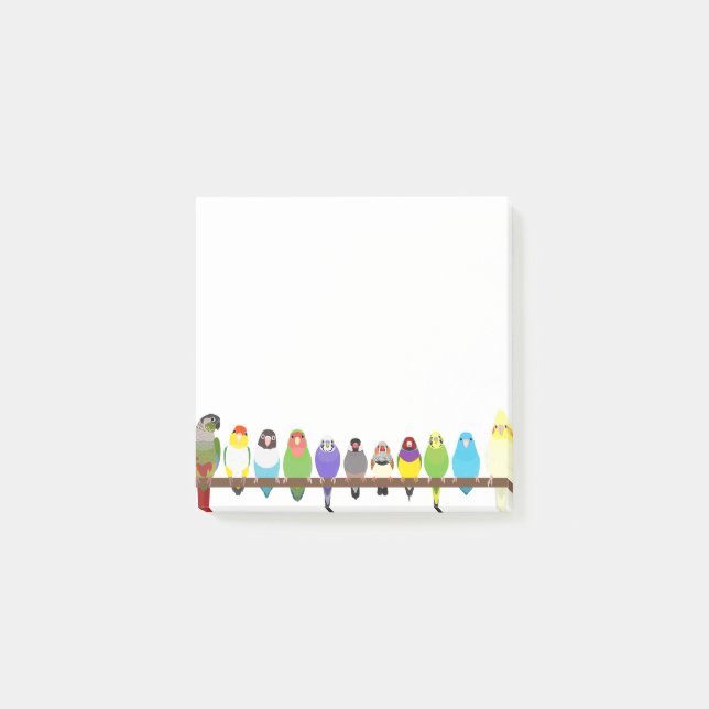 Parrot Sticky Notes  (Front)
