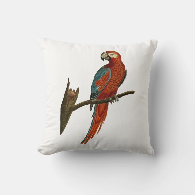 Parrot Throw Pillow (Front)