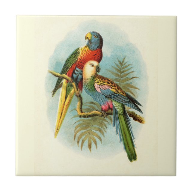PARROT TROPICAL BIRD 10 TILE (Front)