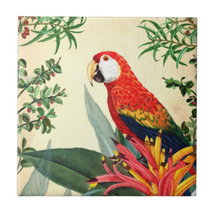 PARROT TROPICAL BIRD 8 TILE