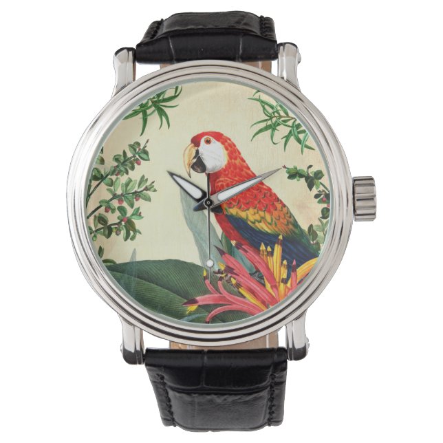 PARROT TROPICAL BIRD 8  WATCH (Front)
