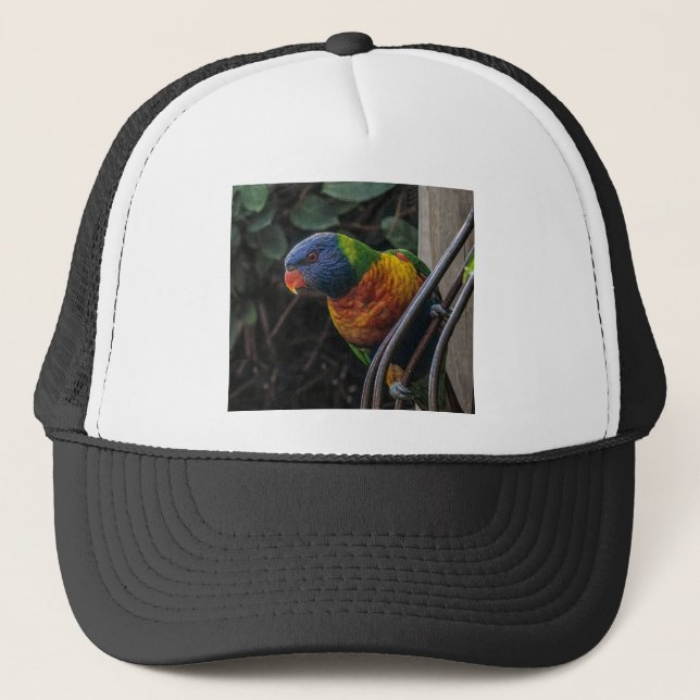 Parrot Trucker Hat (Front)