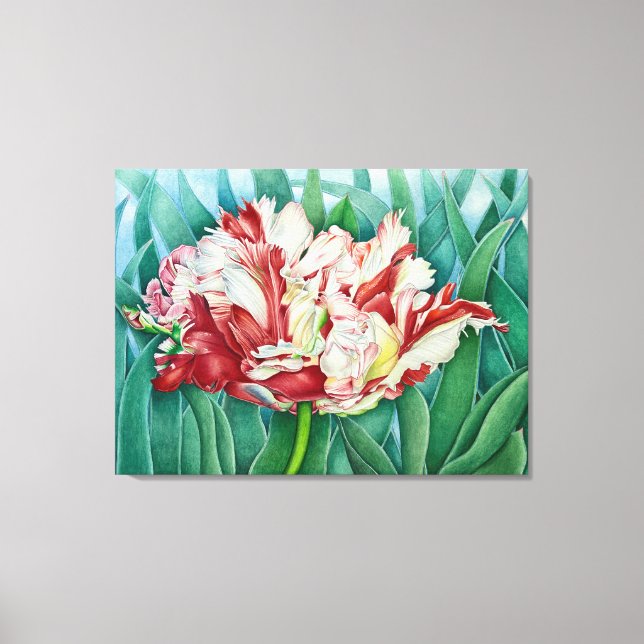 Parrot Tulip Canvas Print (Front)