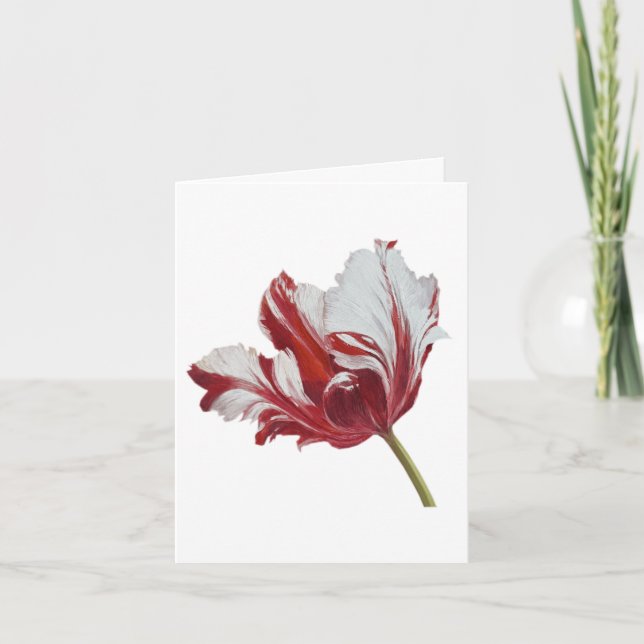 Parrot Tulip Card (Front)
