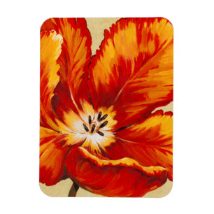 Parrot Tulip I Magnet