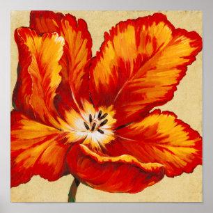 Parrot Tulip I Poster
