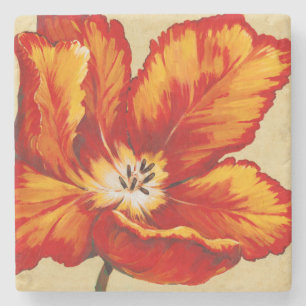 Parrot Tulip I Stone Coaster