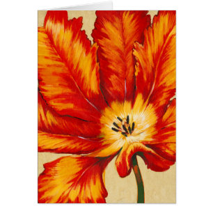 Parrot Tulip II