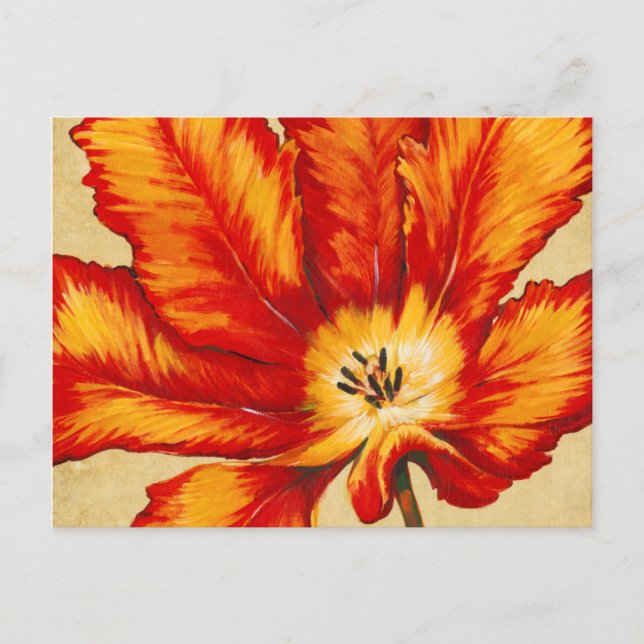 Parrot Tulip II Postcard (Front)