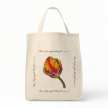 Parrot Tulip