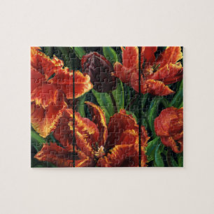 "Parrot Tulips Triptych" Jigsaw Puzzle