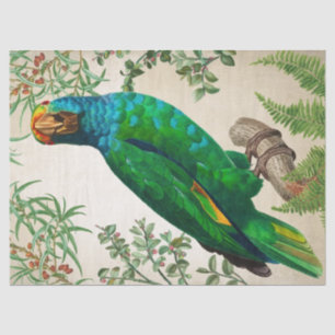 Parrot Vintage Art Tissue Paper