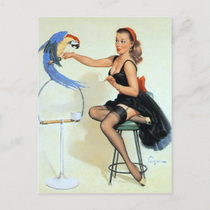 Parrot Vintage Pin Up Postcard