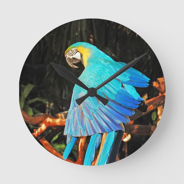 Parrot wall clock (Front)