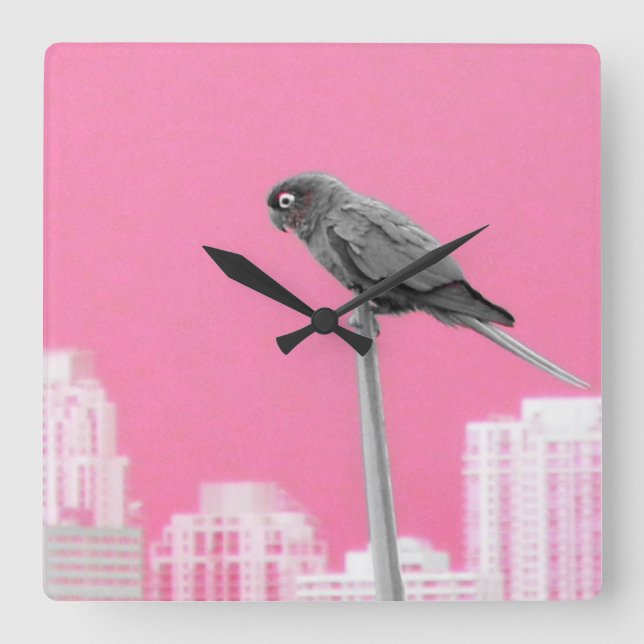 ~Parrot~ WALL CLOCK, PINK, CUSTOMIZE IT! Square Wall Clock (Front)