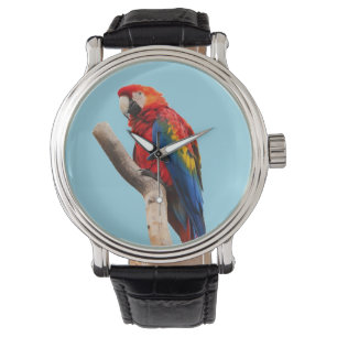 Parrot Watch