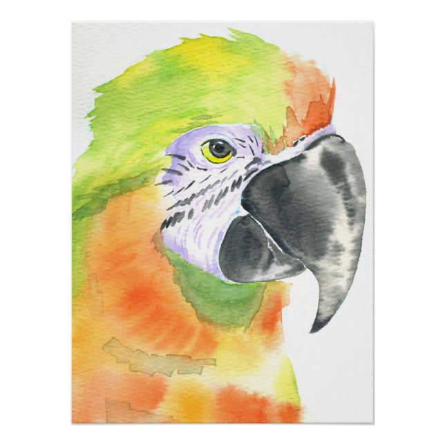 Parrot watercolor poster (Front)