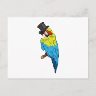Parrot with Cylinder Postcard
