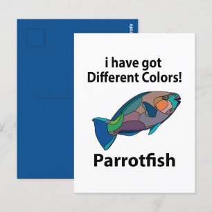 Parrotfish Funny Postcard
