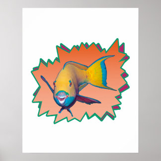 Parrotfish on Apricot * Starburst Cut Out |  Poster