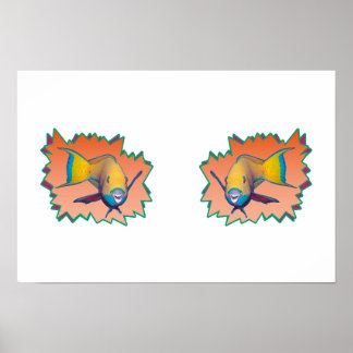 Parrotfish on Apricot * Starburst Cut Out |  Poster