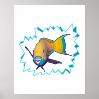 Parrotfish * Starburst Cut Out |  Poster