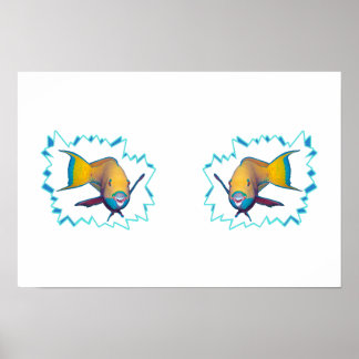 Parrotfish * Starburst Cut Out |  Poster