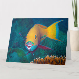 Parrotfish - Striking Make-Up! Colourful photo    Card
