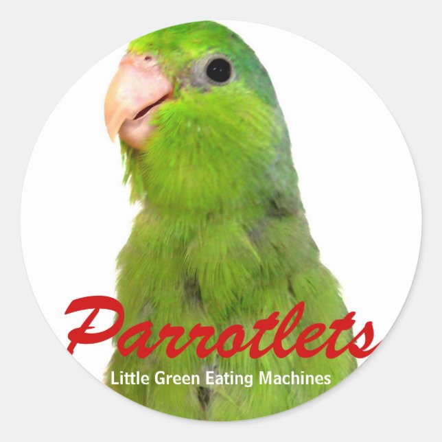Parrotlet Birds sticker art Parrot Green Parrotlet (Front)
