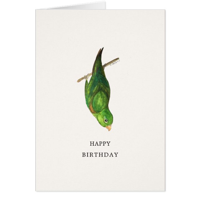 Parrotlet Bonne carte d'anniversaire (Devant)