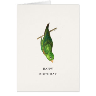 Parrotlet Happy Birthday Card