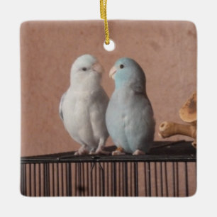 Parrotlet Pair Ceramic Ornament