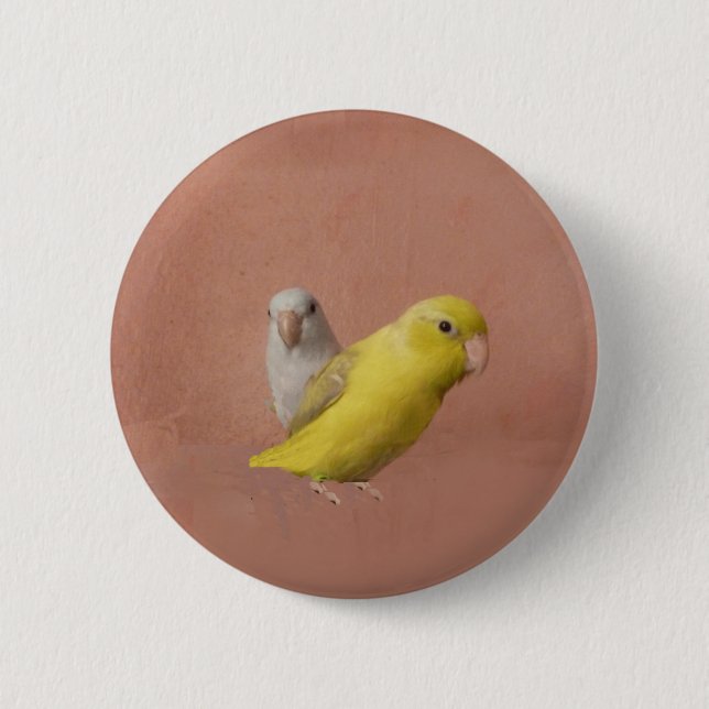 Parrotlets 2 Inch Round Button (Front)