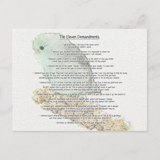 Parrotlets' Eleven Demandments Postcard (Front)
