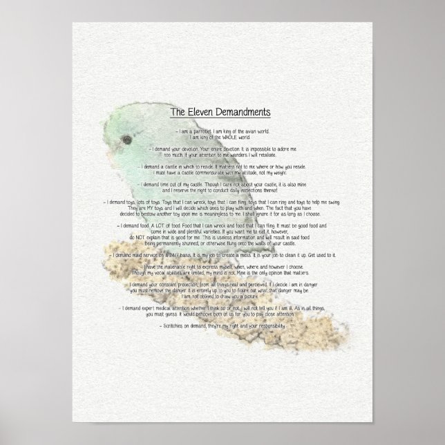 Parrotlets' Eleven Demandments Poster (Front)