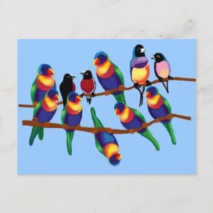 Parrots and finches postcard