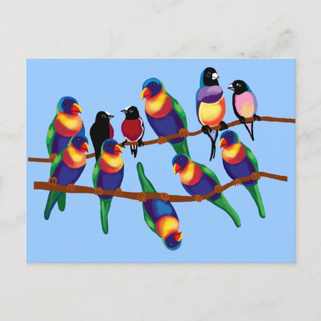 Parrots and finches postcard (Front)