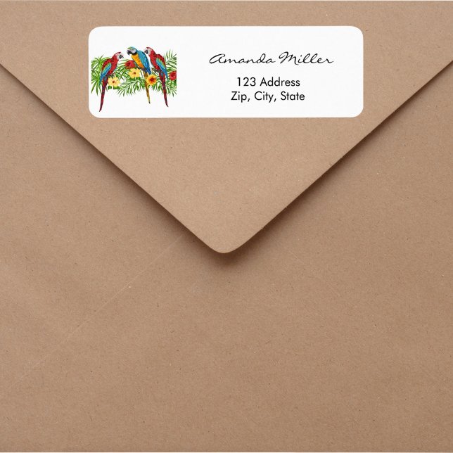 Parrots birds palm leaves return address (Creator Uploaded)