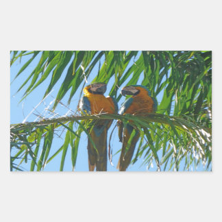 Parrots- Blue and Gold Macaws Sticker