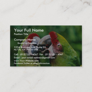 Parrots Business Card