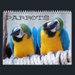 Parrots Calendar<br><div class="desc">Parrots Calendar. This calendar features high resolution of some of the most beloved birds in the pet world. Enjoy.</div>