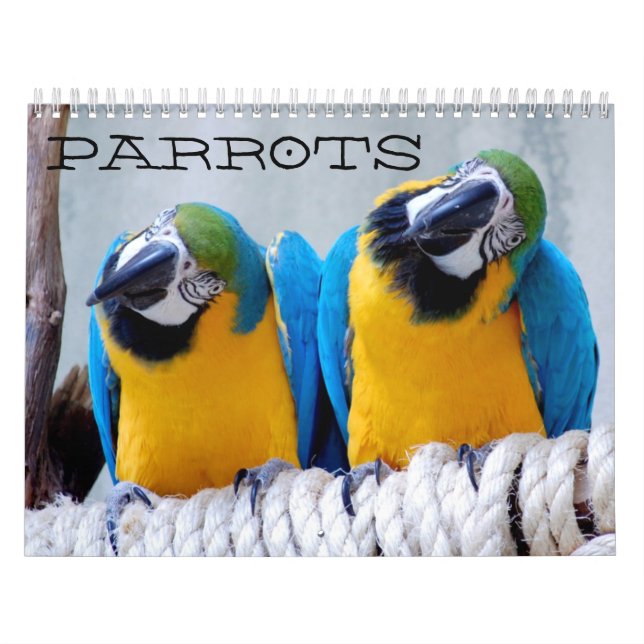 Parrots Calendar (Cover)