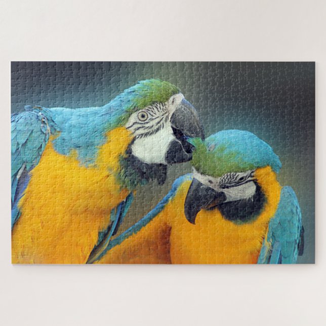 Parrots in love jigsaw puzzle (Horizontal)