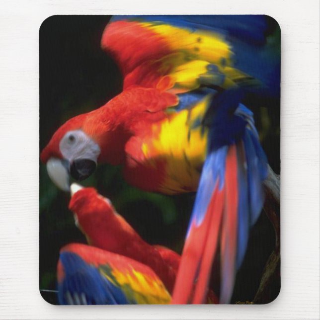 Parrots In Love Mousepad (Front)