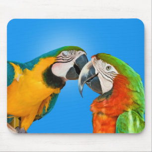 Parrots in Love Mousepad