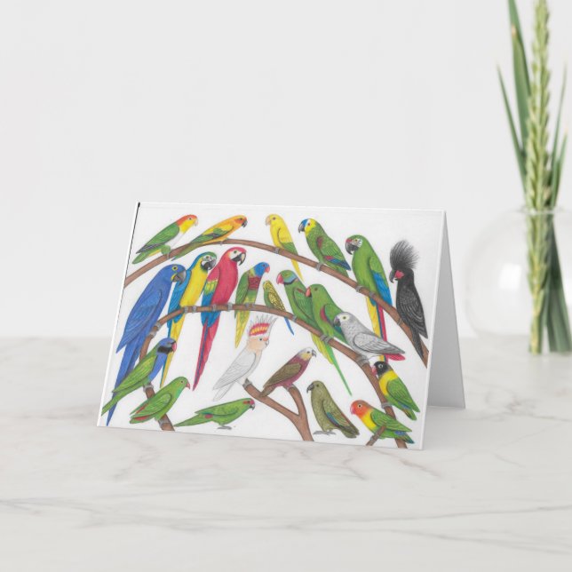 parrots la carte de voeux (Devant)