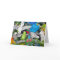 Parrots of the World Card