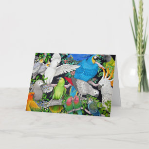 Parrots of the World Card
