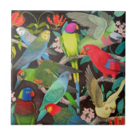 Parrots of the World II Tile