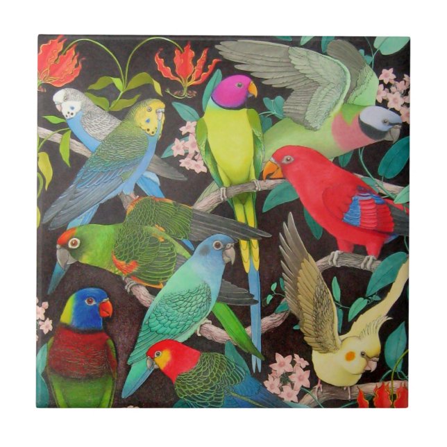 Parrots of the World II Tile (Front)